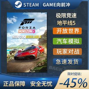 极限竞速 地平线5 Forza Horizon 5 STEAM正版 PC中文 玩家对战