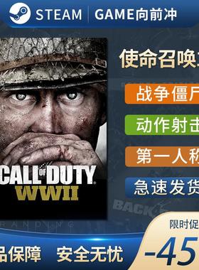 使命召唤14 使命召唤二战 Call of Duty WWII  COD14 STEAM正版