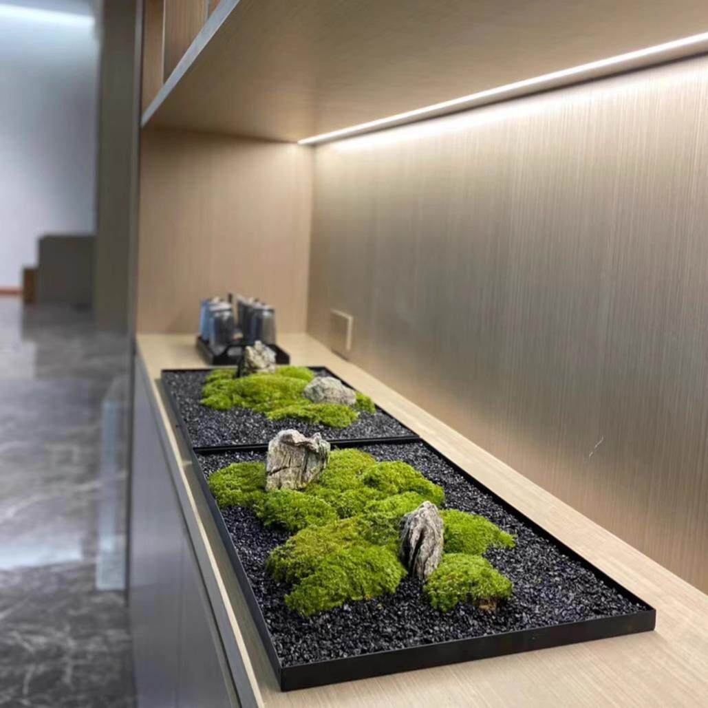 家用铁艺托盘沙盘盆景盆造景底座绿植花艺微景观永生苔藓装置盆栽