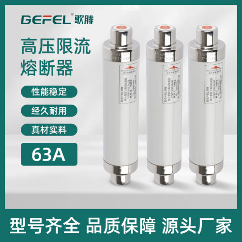 高压熔断器XRNT-12/50A63A80A100A125A高压柜户内用喷射式保险丝