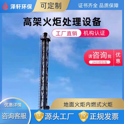 泽轩环保化工高架火炬钢架结构自控系统安全点火售后服务