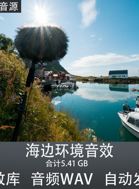 Soundholder Harbours Of Norway 海边环境海鸥浪潮音效 影视素材