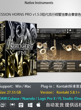 Session Horns Pro现代流行铜管独奏合奏音色库音乐制作编曲音源