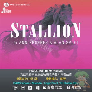 Pro Sound Effects Stallion马匹马蹄声奔跑疾驰嘶鸣响影视音效库