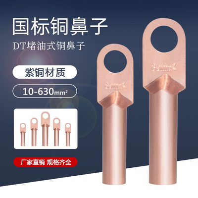 国标DT铜鼻子接线端子
