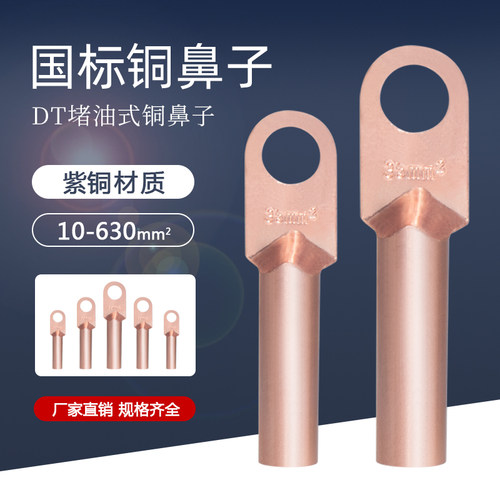 国标DT铜鼻子接线端子