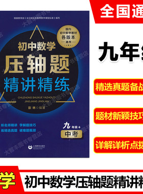 初中数学压轴题精讲精练九年级