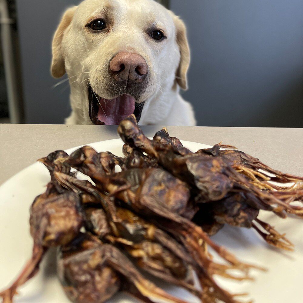 小宠一狼宠物狗零食风干香酥小鸡仔纯肉干猫咪狗狗补充营养幼犬