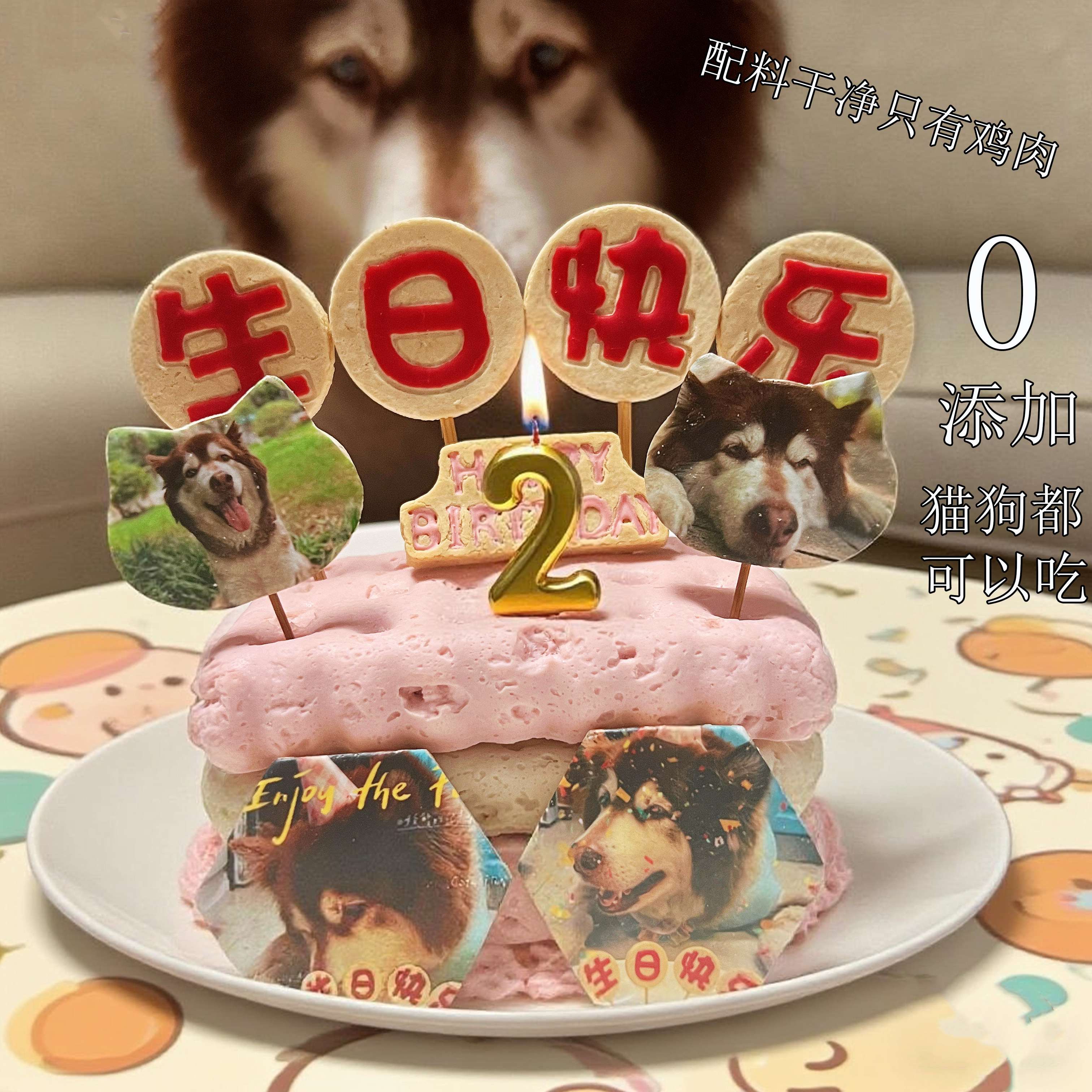 小宠一狼宠物生日蛋糕纯鸡肉饼干零食定制狗猫咪照片生日插牌营养