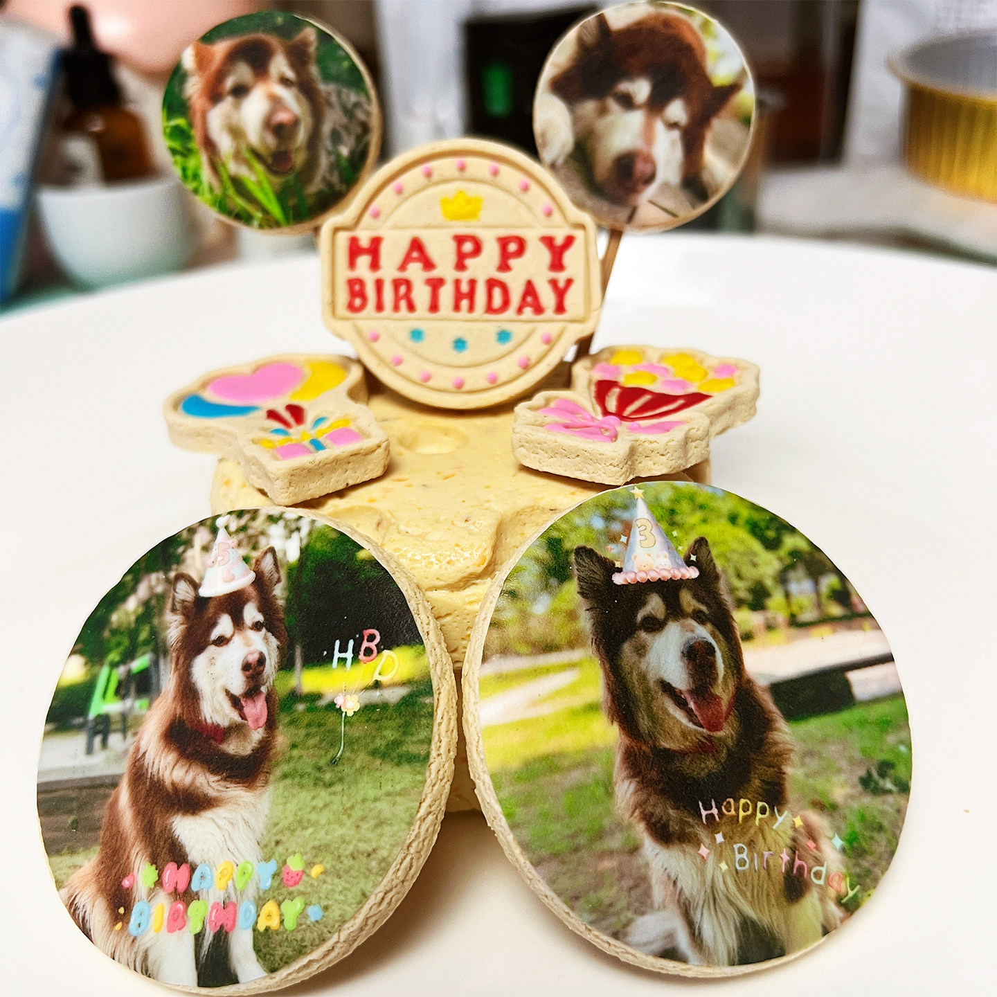 小宠一狼宠物狗生日蛋糕饼干零食定制狗猫咪照片插牌天然无添加