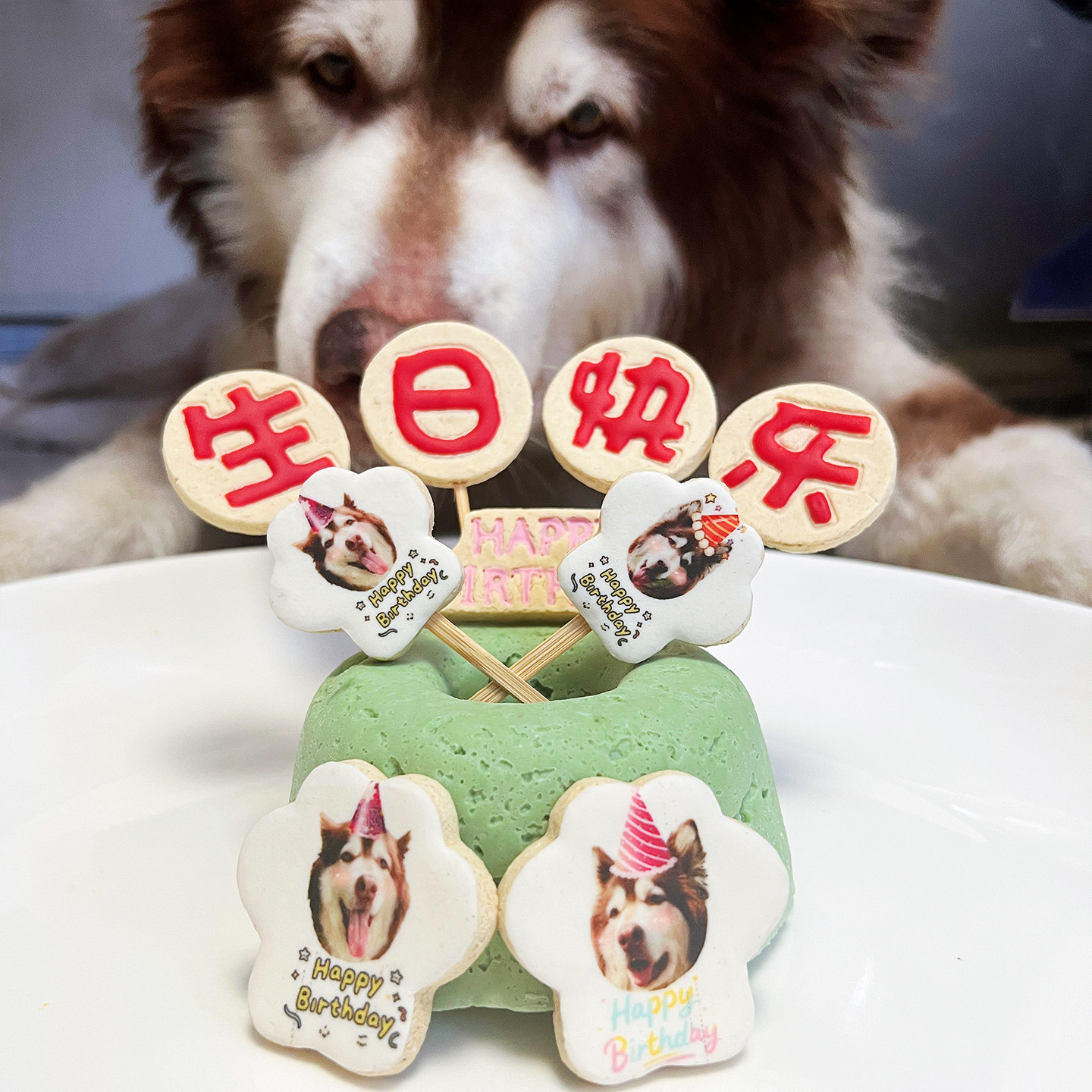 小宠一狼宠物生日蛋糕饼干零食定制狗猫咪照片生日插牌装饰无添加