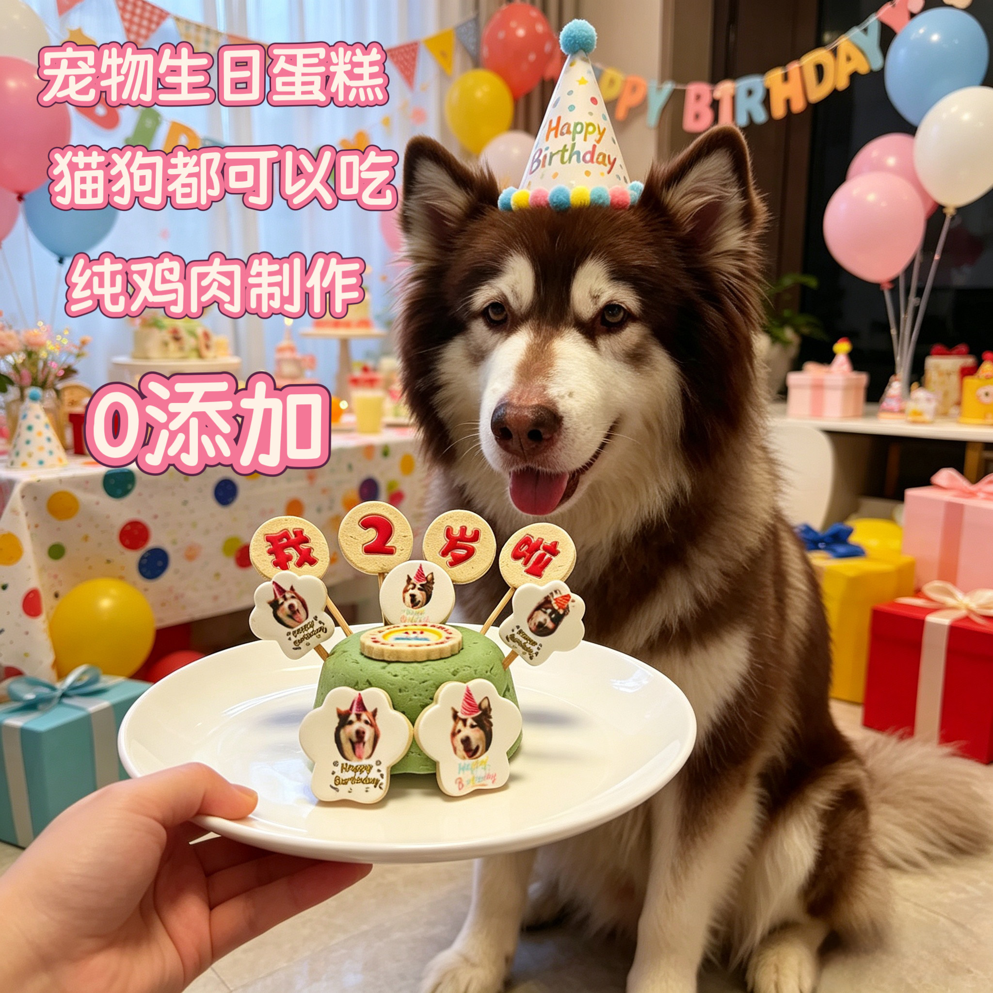 小宠一狼宠物生日蛋糕饼干零食定制狗猫咪照片生日插牌装饰无添加