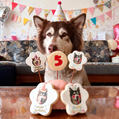 小宠一狼可爱猫爪宠物生日蛋糕饼干零食定制狗猫咪照片生日插牌