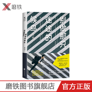 向着光亮那方后新作 刘同新书籍 惠 磨铁图书 职场励志书籍 青春不迷茫 谁 继我在未来等你 候鸟 别做那只迷途
