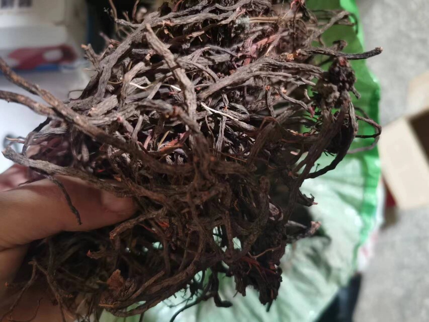 云南生态中药材小红参滇紫参小红药小舒筋正品炖肉泡酒包邮