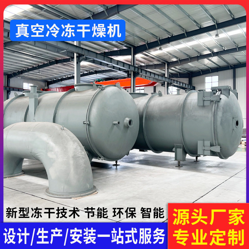 西瓜草莓丁低温冻干机 面条海鲜粥真空冷冻干燥机 荔枝橙子冻干机