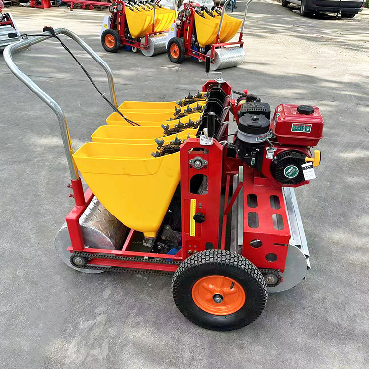 不伤蒜手推式汽油大蒜播种机四川大蒜独瓣蒜播种机新乡种蒜机