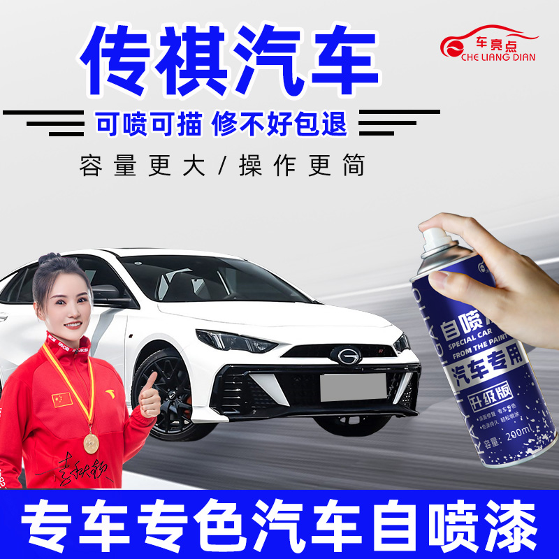 适用广汽传祺专车专色补漆笔套装