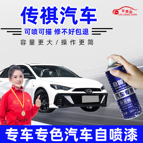 适用广汽传祺专车专色补漆笔套装