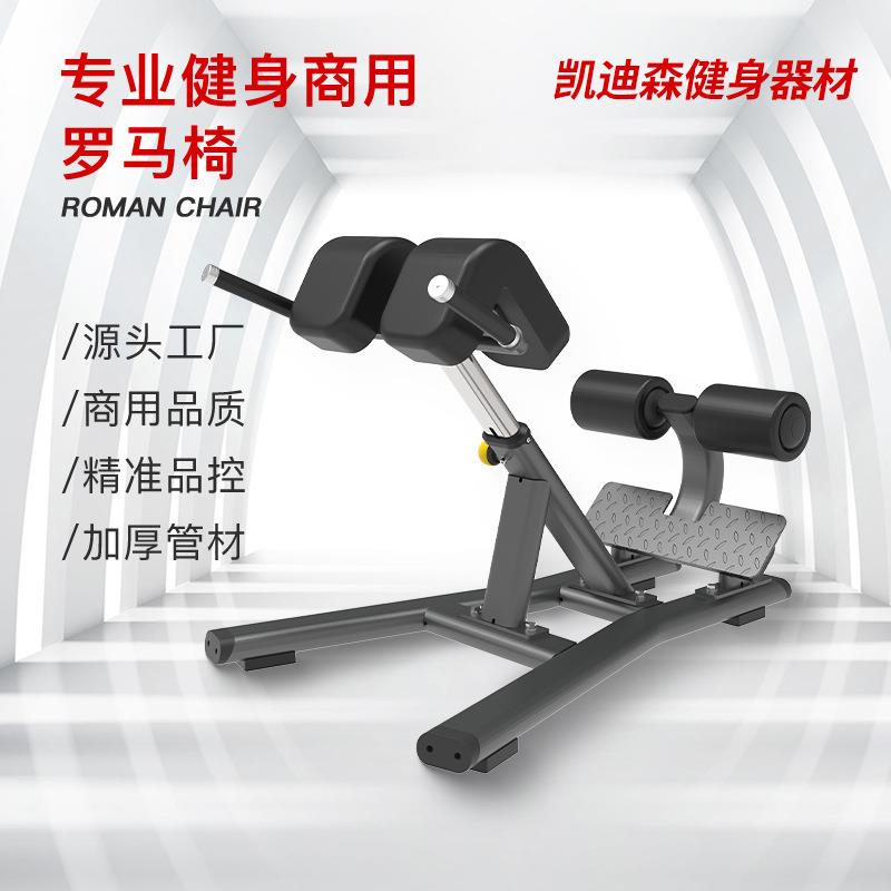 商用家用罗马椅可调式哑铃凳山羊挺身背肌训练器腰部训练器牧师椅