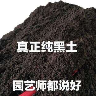 营养土养花通用营养土阳台种菜土黑土花土营养土通用型100斤