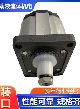 马祖奇MARZOCCHI举升泵船舶齿轮泵卷边机齿轮泵GHP3-D-66