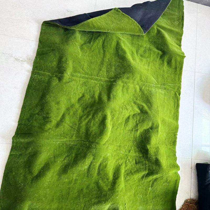 鼓苞草坪绿植绒毛苔藓地毯永生青苔墙园林软装假山沙盘文化馆造景