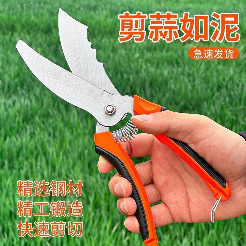农用大蒜圆葱专用剪刀干湿蒜杆胡蒜须工具剪蒜蒜头洋葱神器剪子