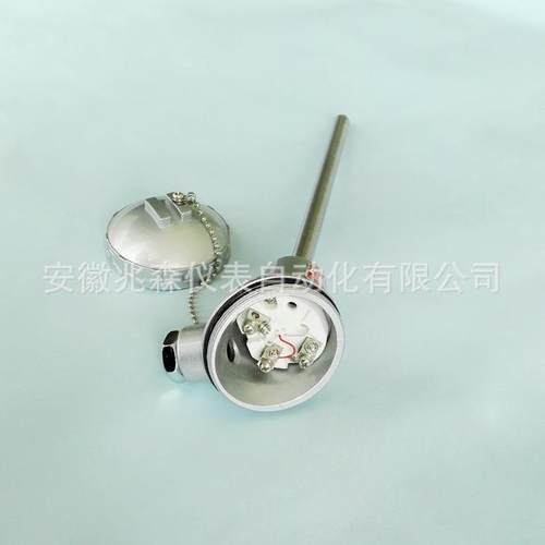 热电阻WZP-130 WZP-131温度传感器 PT100温度传感器 WZP-132