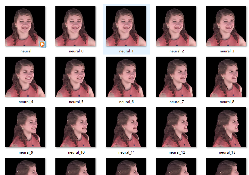 X00333-NeRF神经辐射场的数据结构优化源码和数据集