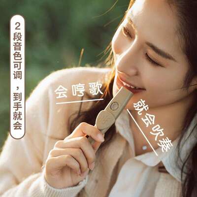 NFAUDIO宁梵声学卡祖笛演奏级kazoo初学专业祖卡笛吉他伴奏乐器