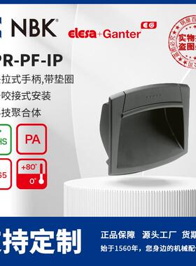NBKELESAEPR-PF-IP平头拉式手柄,带垫圈用于咬接式安装零配件
