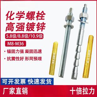 高强度化学螺栓倒锥化学锚栓膨胀螺丝M8M10M12M14M16M18M20M24M30
