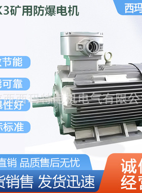 西安 泰富西玛电机YBK3-132S1-2极5.5KW煤矿井下用防爆交流电动机