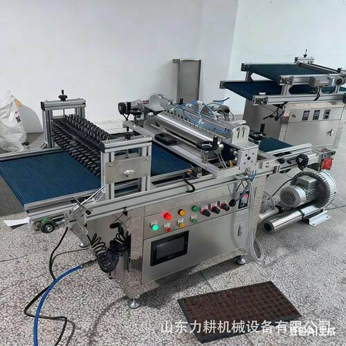 全辣动滚筒播种机流水线盘育苗播种自机椒玉BDG米莴苣生菜花穴卉