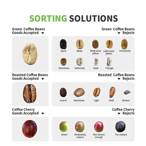 WesortoffeeBeafnandCofeeFruitColoCrSorting6SXZ-136Machine