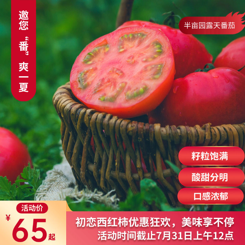 新疆蔬菜有机西红柿半亩园初恋