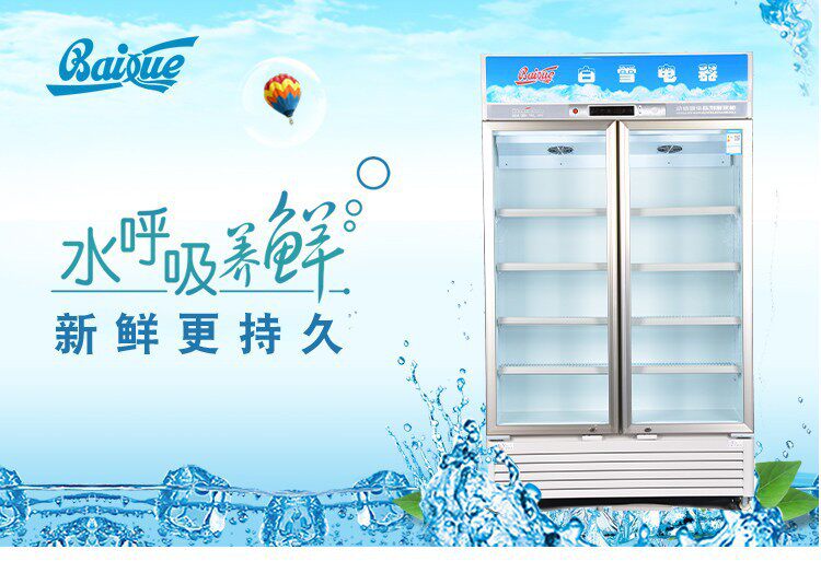 白雪展示柜商用双门饮料陈列柜茶叶保鲜柜啤酒冰箱单门冷柜酒吧