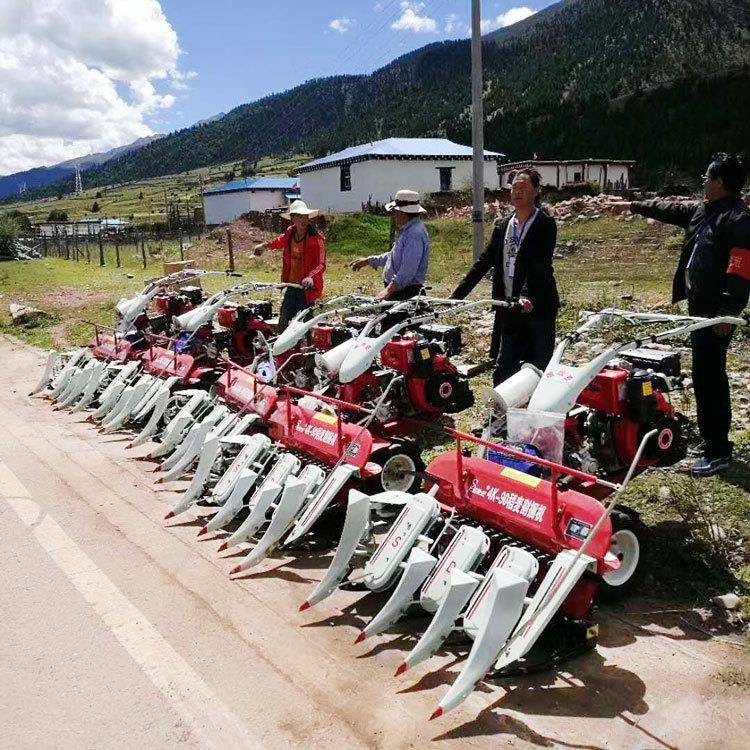 手推汽油柴机油动力割BKU打捆一收型体机 新自走式小麦水稻割捆机