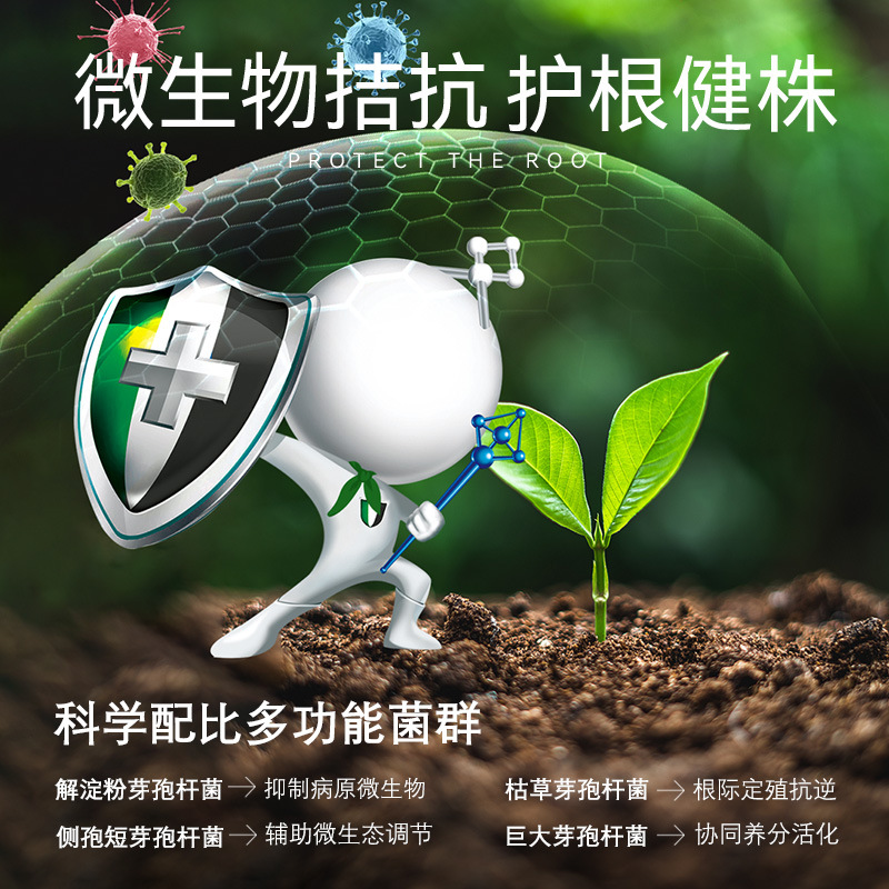 复合微生物肥黄腐酸钾水溶肥促长改良土壤防枯黄根线虫松土根腐病