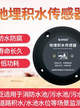 4JXDM-JS4G埋积传感器低功耗地计监水测排水电阻分压积水监设测传