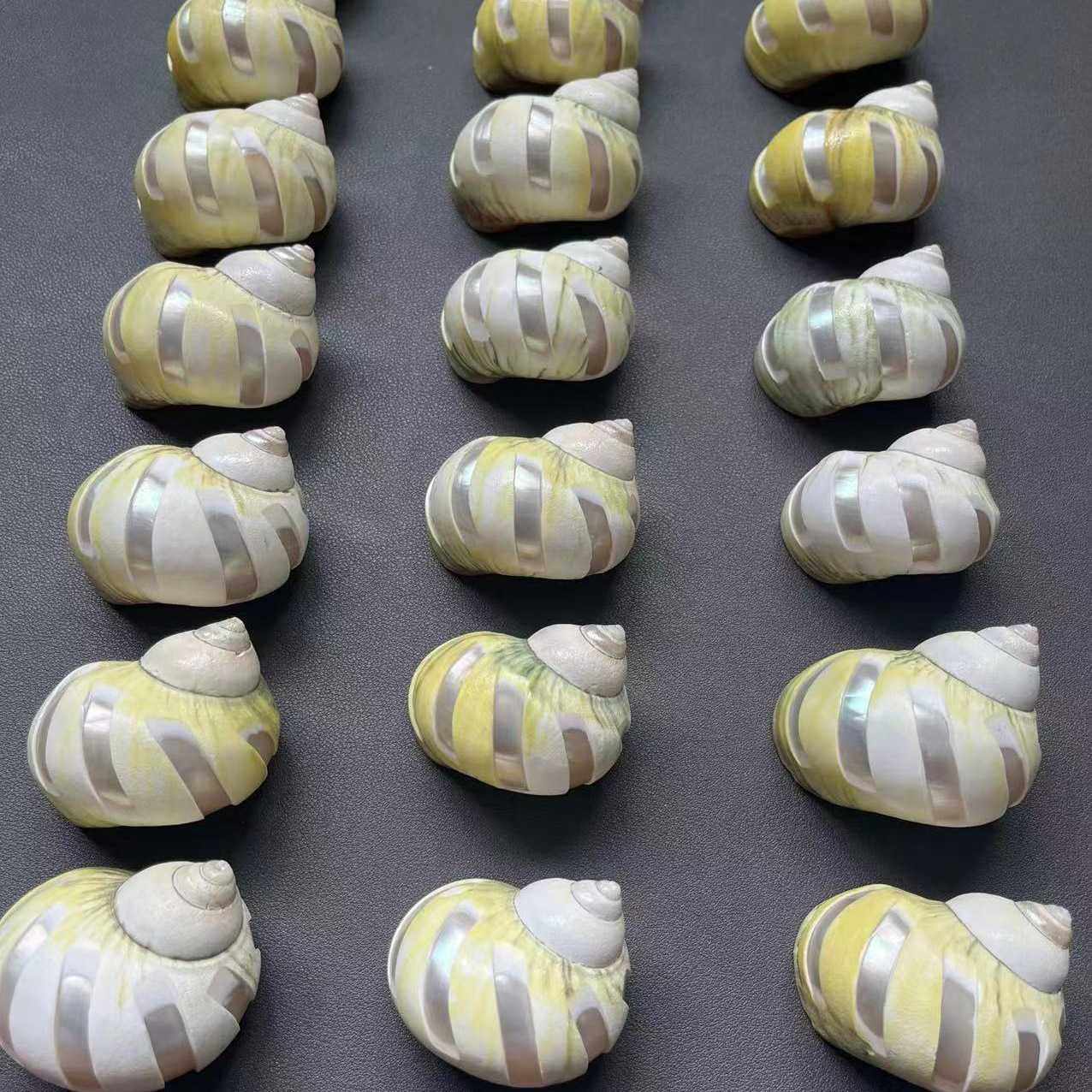 新款直销天然海螺贝壳黄牛油果螺 寄居蟹替换壳 风车牛油果螺 鱼,文具电教/文化用品/商务用品,教学标本/模型,淘宝优惠券,粉丝福利购,淘宝优惠卷