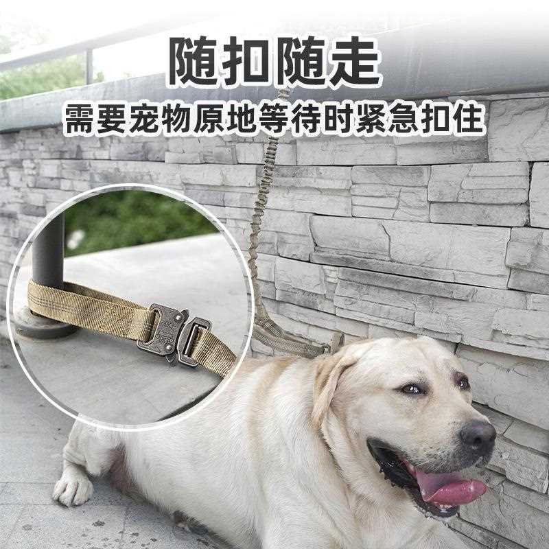 新款直销狗狗牵引绳大型中型犬狗链子狗项圈金毛拉布拉多遛狗绳子