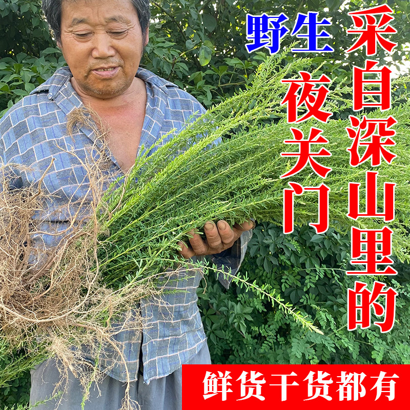 夜关门草 三叶草根截叶铁扫帚  封草 新鲜绢毛胡枝子干货中草药材