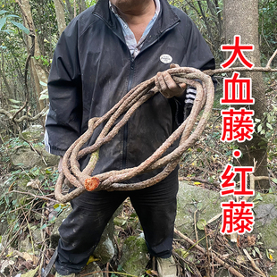 野生大血藤中药材 深山红藤滕 脑血通片 血塞通 泡酒泡茶500g包邮