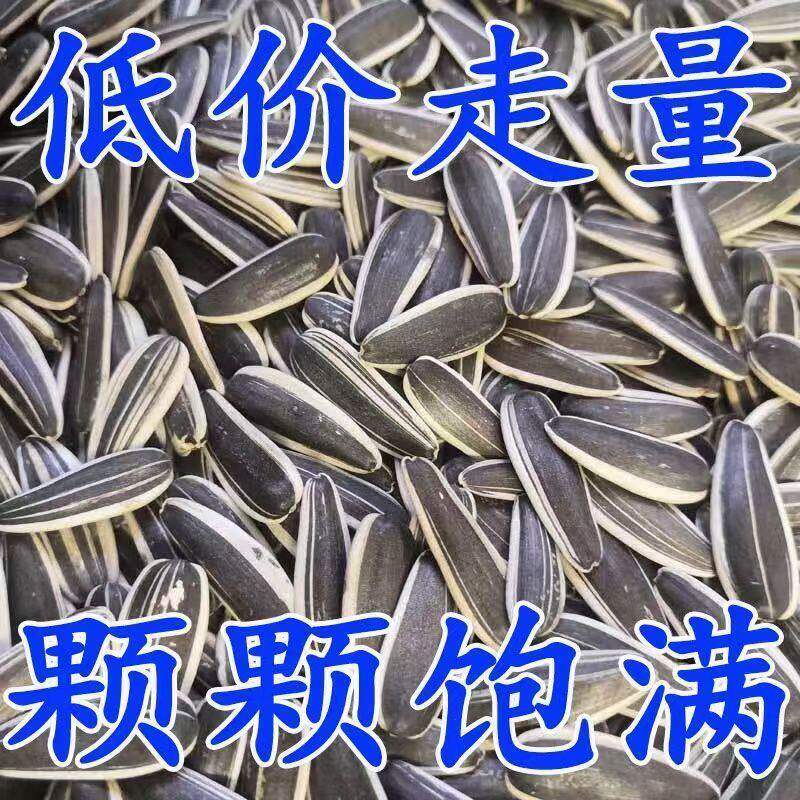工厂直发】新货干炒五香瓜子核桃红枣奶油味葵花籽休闲零食批发