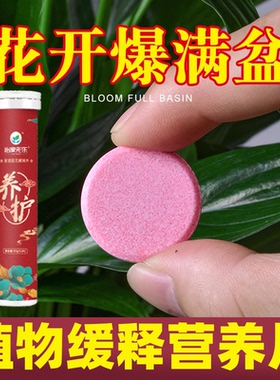 植物营养缓释片控释肥片通用型花卉绿植多肉果蔬盆栽家用长效花肥