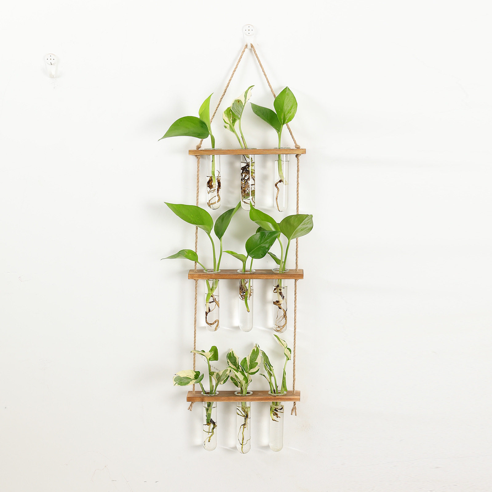 创新壁挂水培植物试管挂