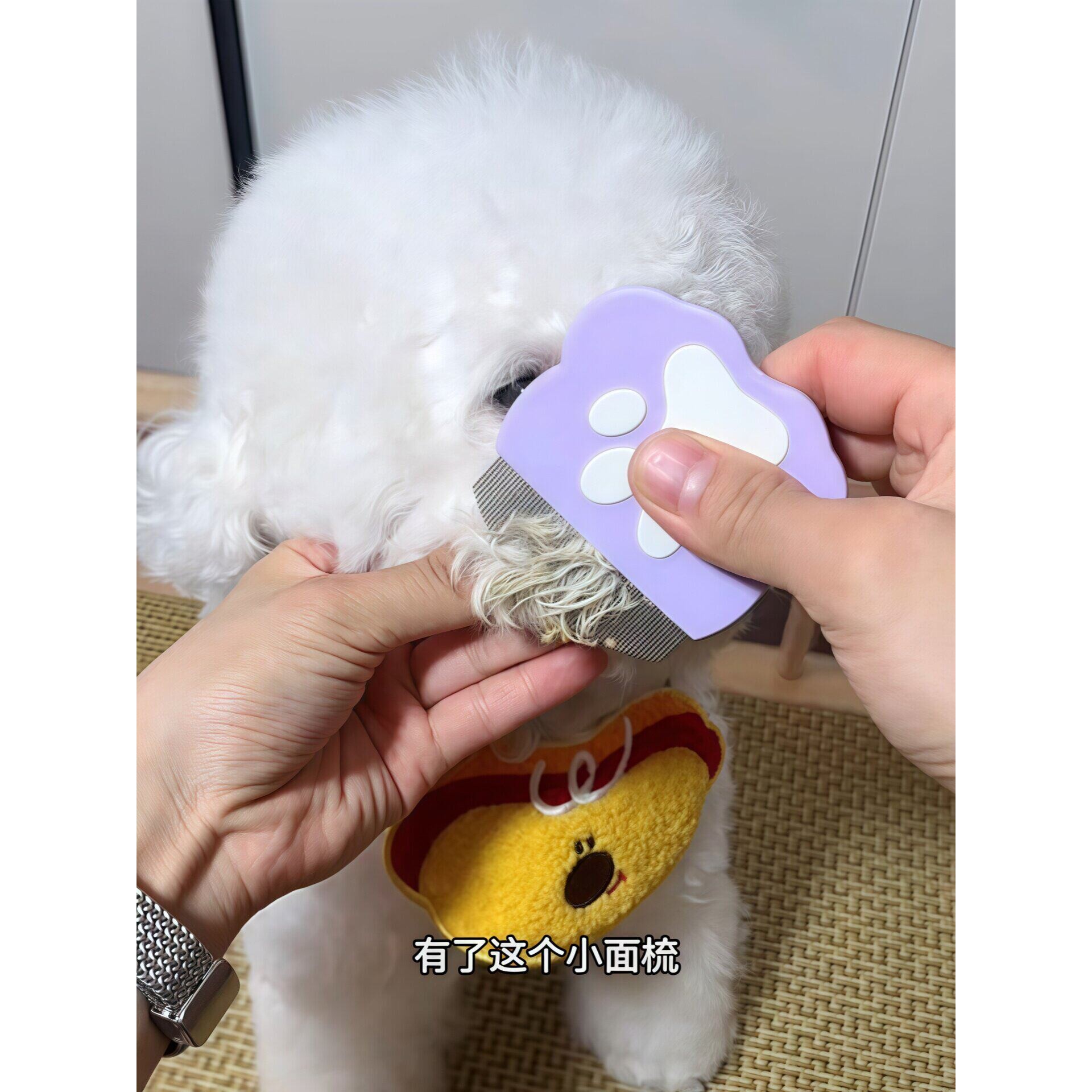 狗狗梳子宠物梳毛专用面梳猫咪去浮毛开结梳子比熊拉毛神器跳蚤梳