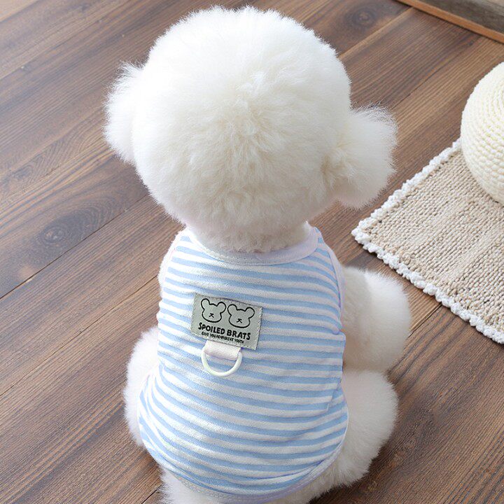 狗狗夏季薄款透气衣服带牵引环比熊拼色条纹背心泰迪幼犬两脚春装